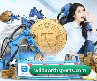 国际化进程 - 全球化战略取得重大进展,千万用户共同见证华体会官网登录入口成长。